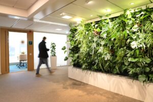 Växtvägg i entrén