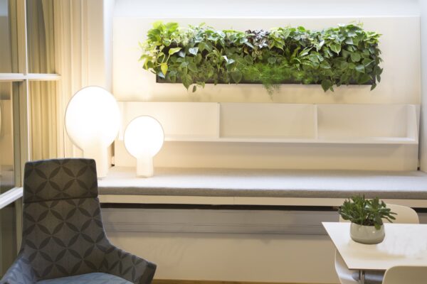växttavla kontor