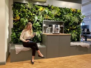 Växtinredning året runt |