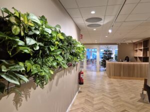 Växttavla i receptionen