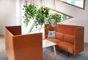 Kontorsmiljö med gröna hängande växter - Växtinredning för företag