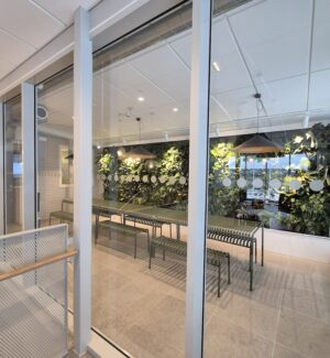 Den dolda kostnaden av att sköta kontorsväxterna själva |