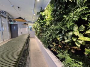 Stor grön växtvägg längs hela matbordet på kontoret