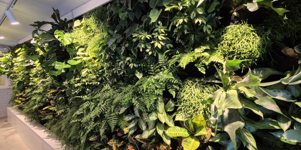 Stor växtvägg med olika sorters växter
