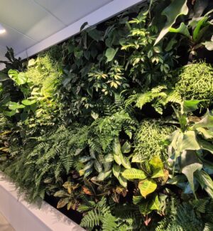 Stor växtvägg med olika sorters växter